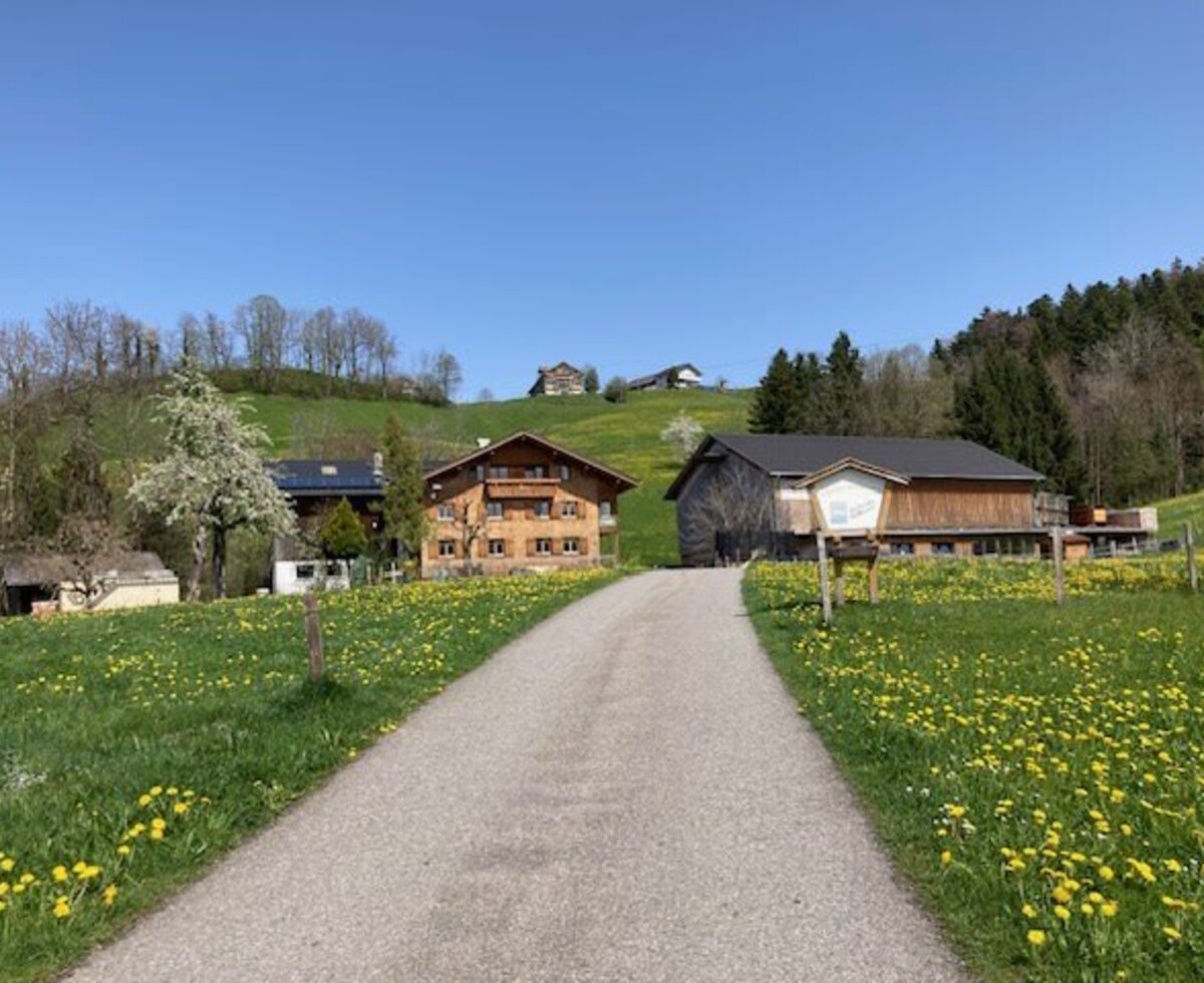 The entrance path to the Farm House, flanked by green fields with yellow flowers, set against a backdrop of hills.