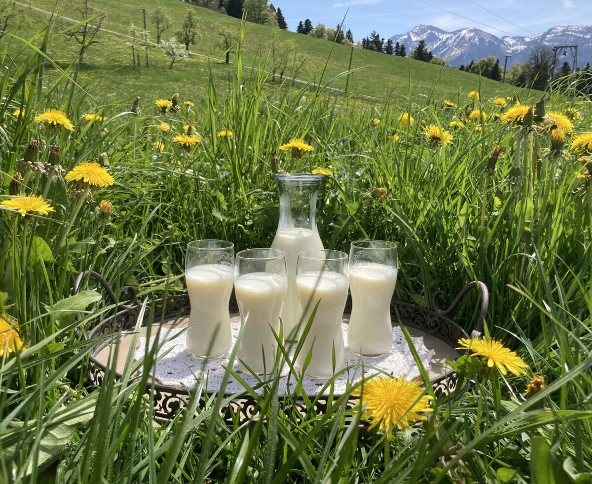 Fresh milk from the farmhouse, served on a tray in a dandelion meadow with mountain views.