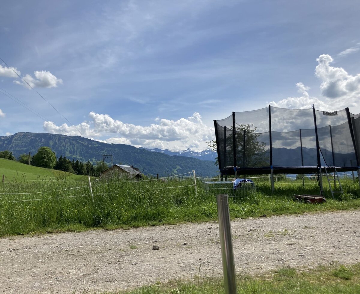 The large trampoline with a safety net in the Farm House's outdoor playground area, offering mountain views.