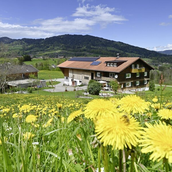 The Farm House, equipped with solar panels, stands in a field of dandelions with views of the surrounding mountains and a nearby village.