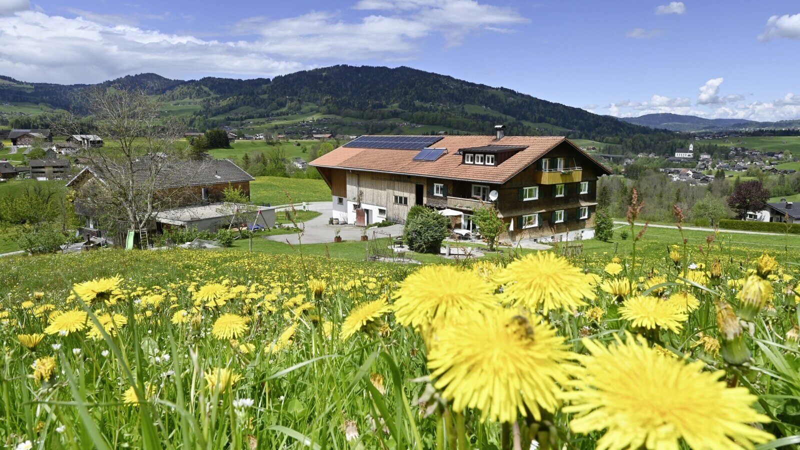The Farm House, equipped with solar panels, stands in a field of dandelions with views of the surrounding mountains and a nearby village.
