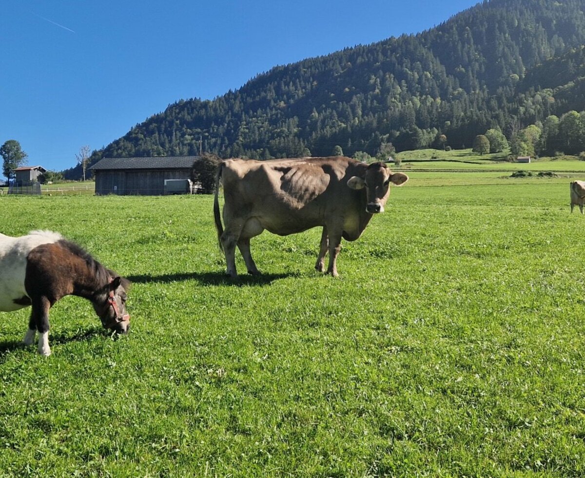 Samy has new girlfriends by her side.