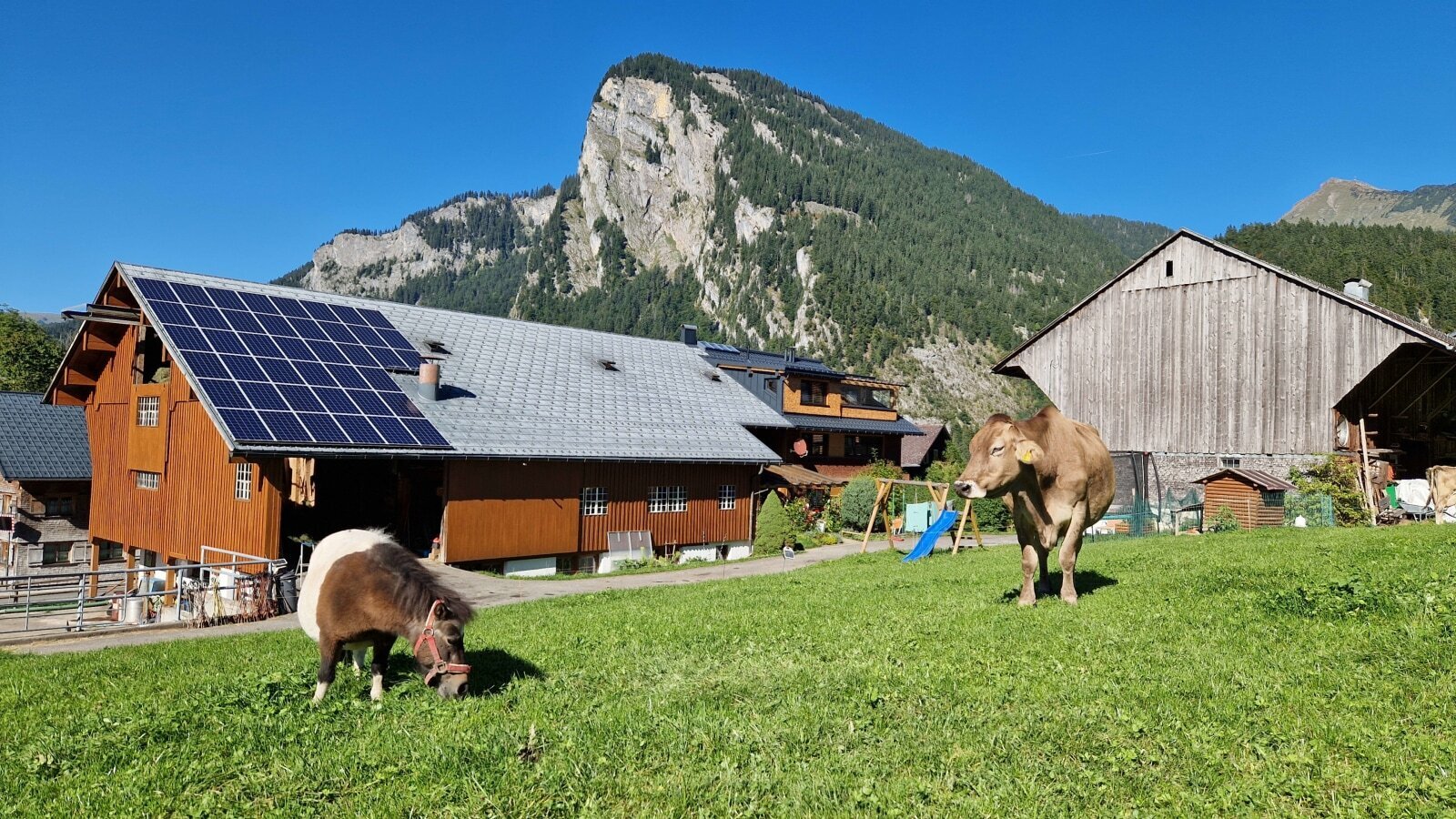 Berlinger holiday farm surrounded by meadows with ponies and cows, a children's playground and mountain views.