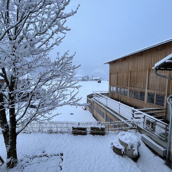 Der erste Schnee 28.11.2021 Der erste Schnee 28.11.2021