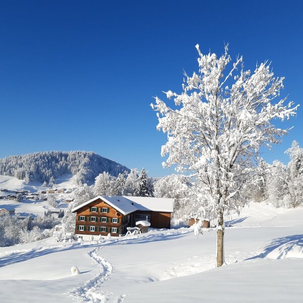 Winter Winter