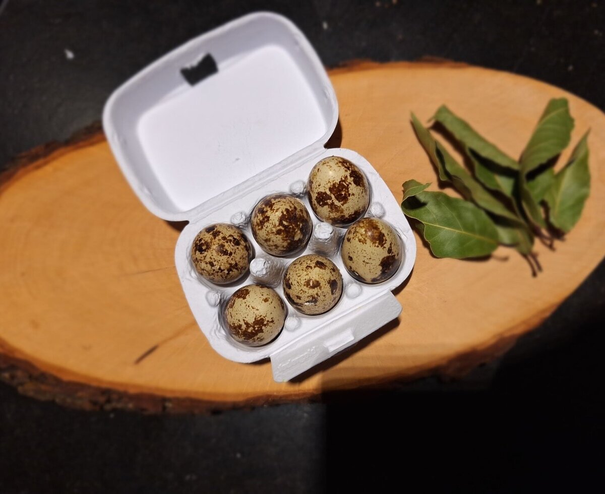Fresh quail eggs - available directly from the farm.