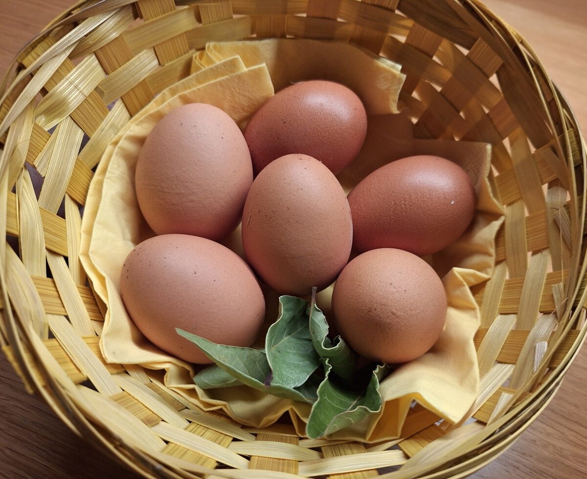 Eggs from our chickens.