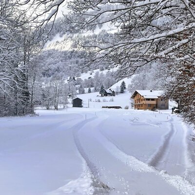 Winter landscape with snow-covered trees, mountains in the background, and the holiday farm, accessible via a cleared path.