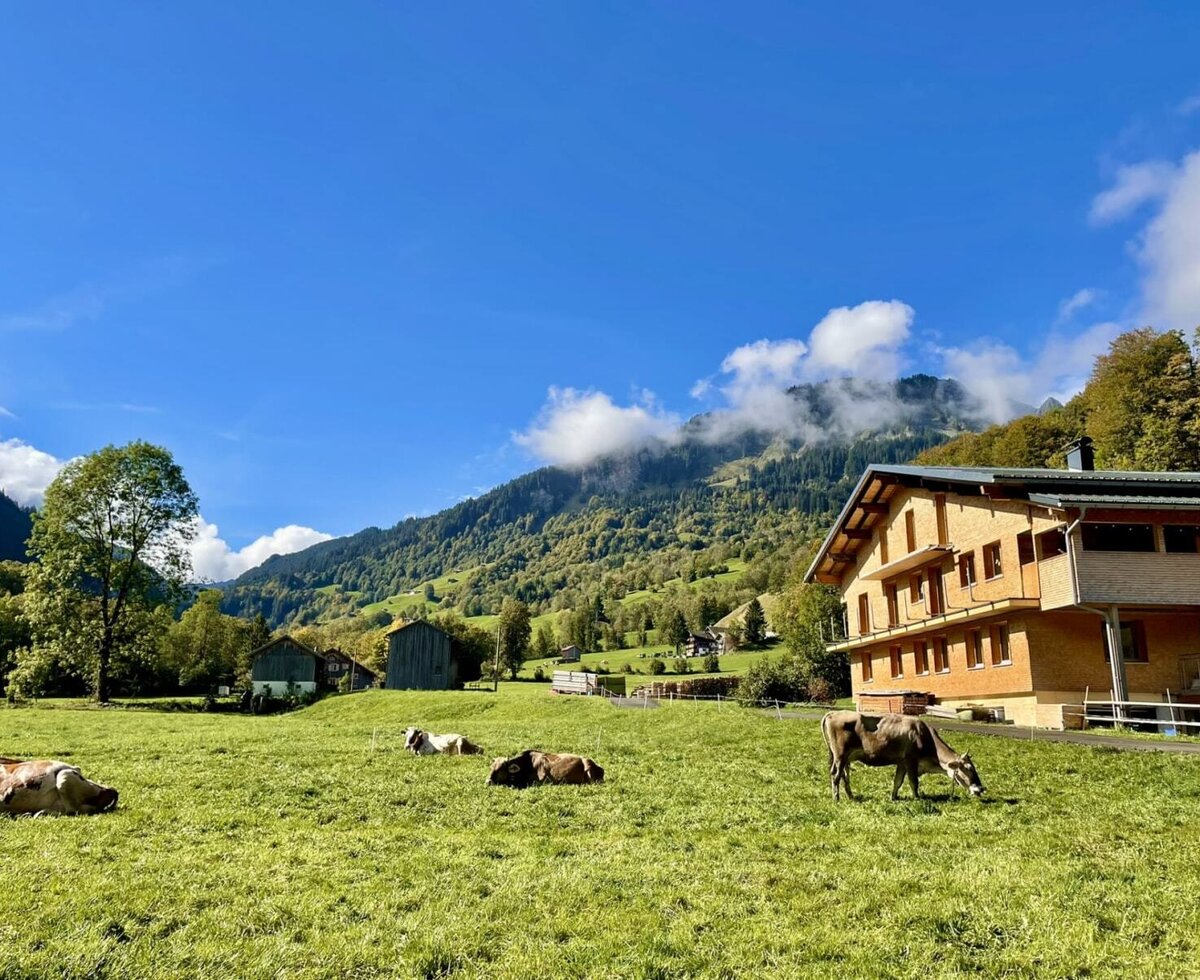 The apartment building set in an idyllic mountain landscape with lush green pastures and grazing cows.