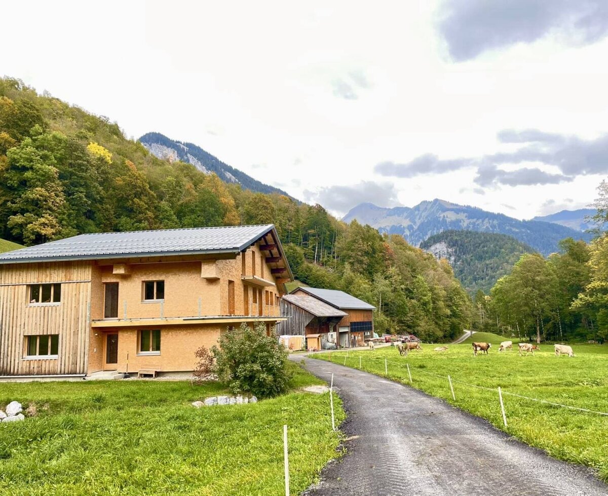 The inviting apartment in a modern wooden building, surrounded by green pastures and a scenic mountain backdrop.