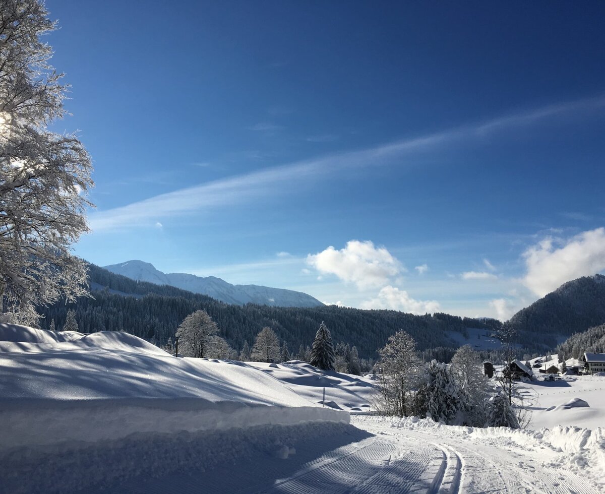 A sunny winter landscape around the farm house, featuring snow-covered trees, mountains, and cross-country ski tracks.