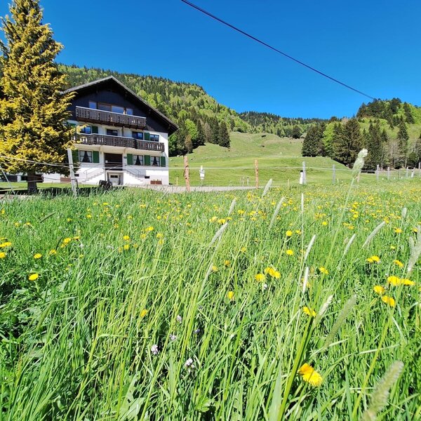 The inviting farmhouse surrounded by a lush, green meadow with wildflowers, set against scenic mountain hills.
