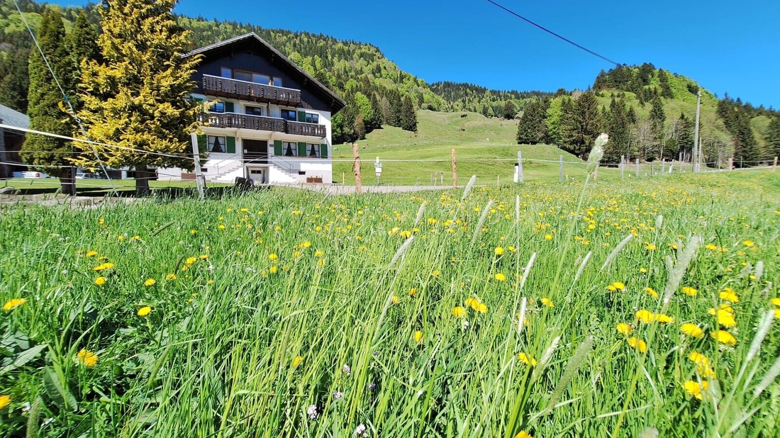 The inviting farmhouse surrounded by a lush, green meadow with wildflowers, set against scenic mountain hills.