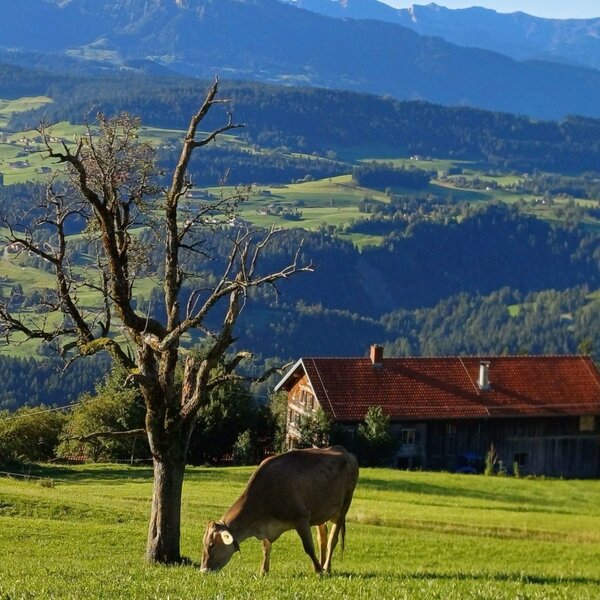hometown