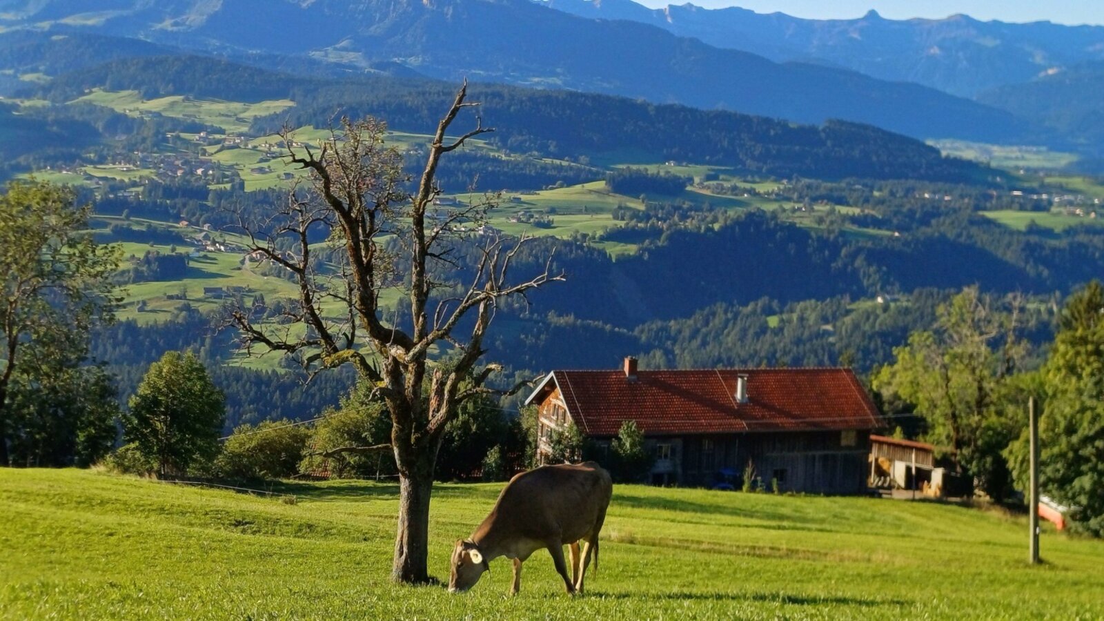 hometown