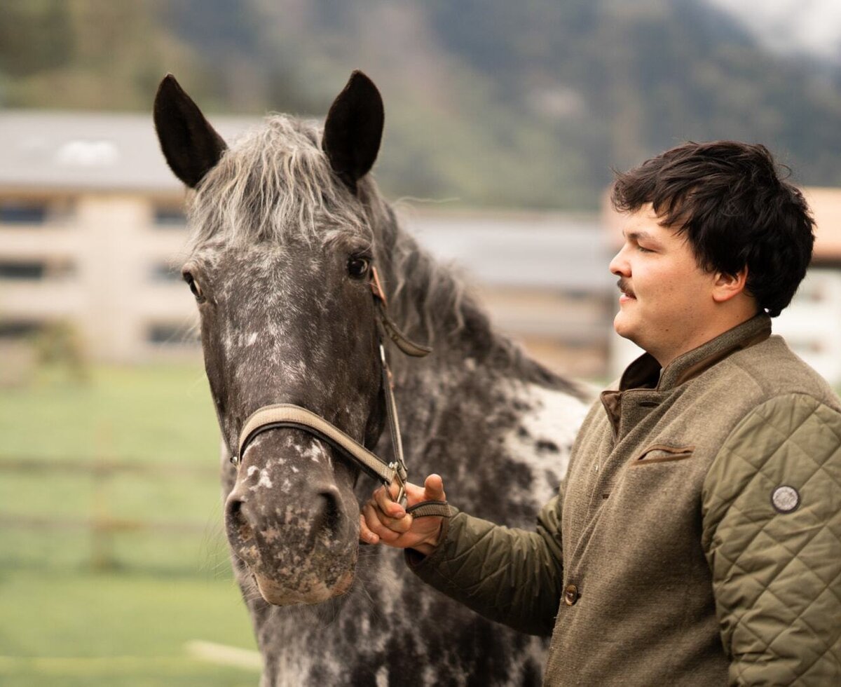 A gentle horse at the neighboring NigschHof, highlighting the charming farm life experience near the bed and breakfast.