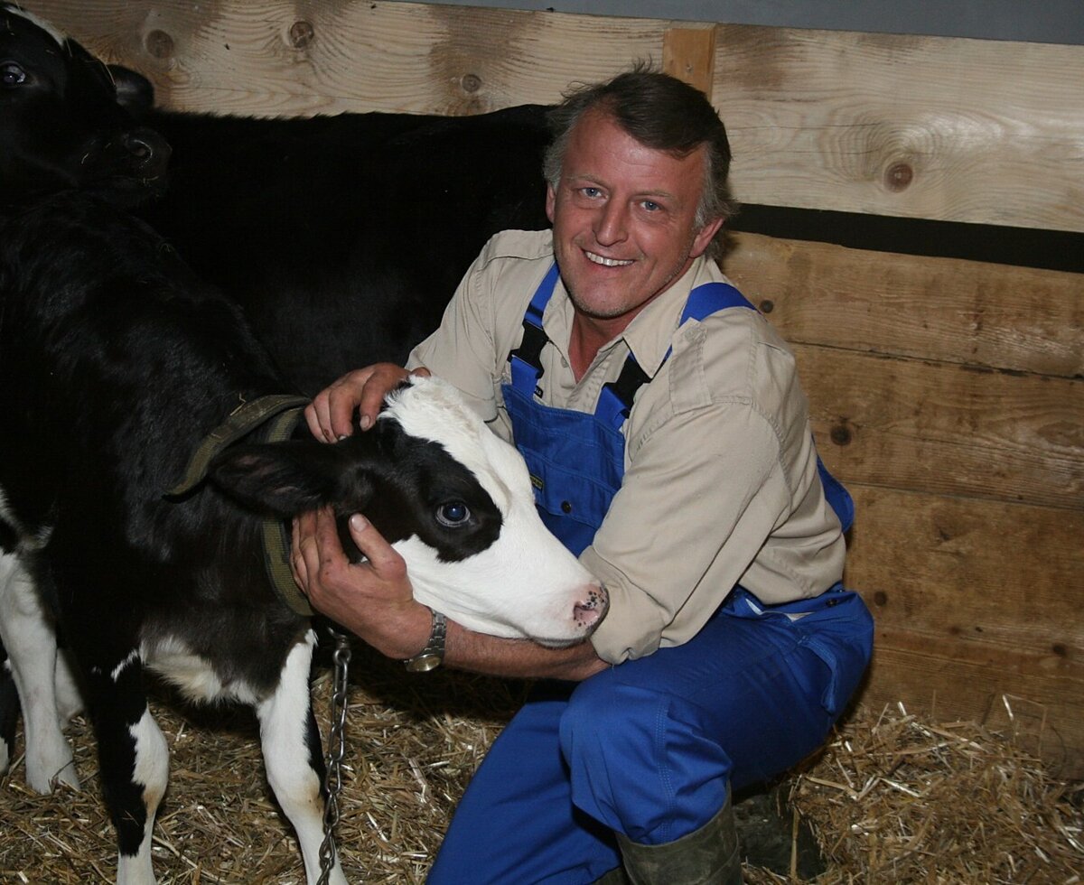 Farmer in the calf stable