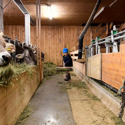 Child doing stable work