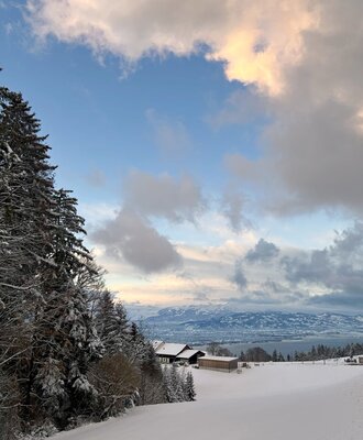 Winter view
