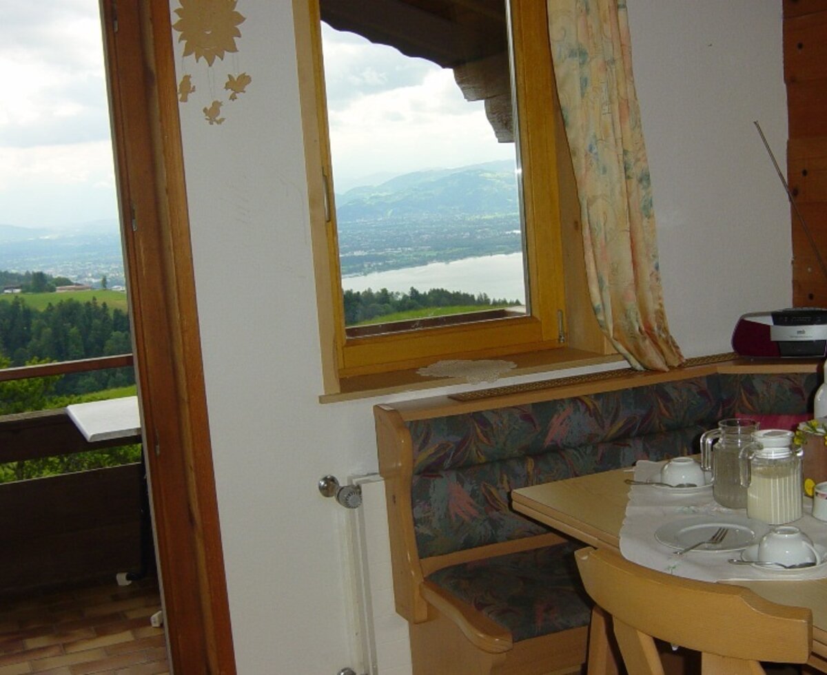 View over Lake Constance from the dining area.