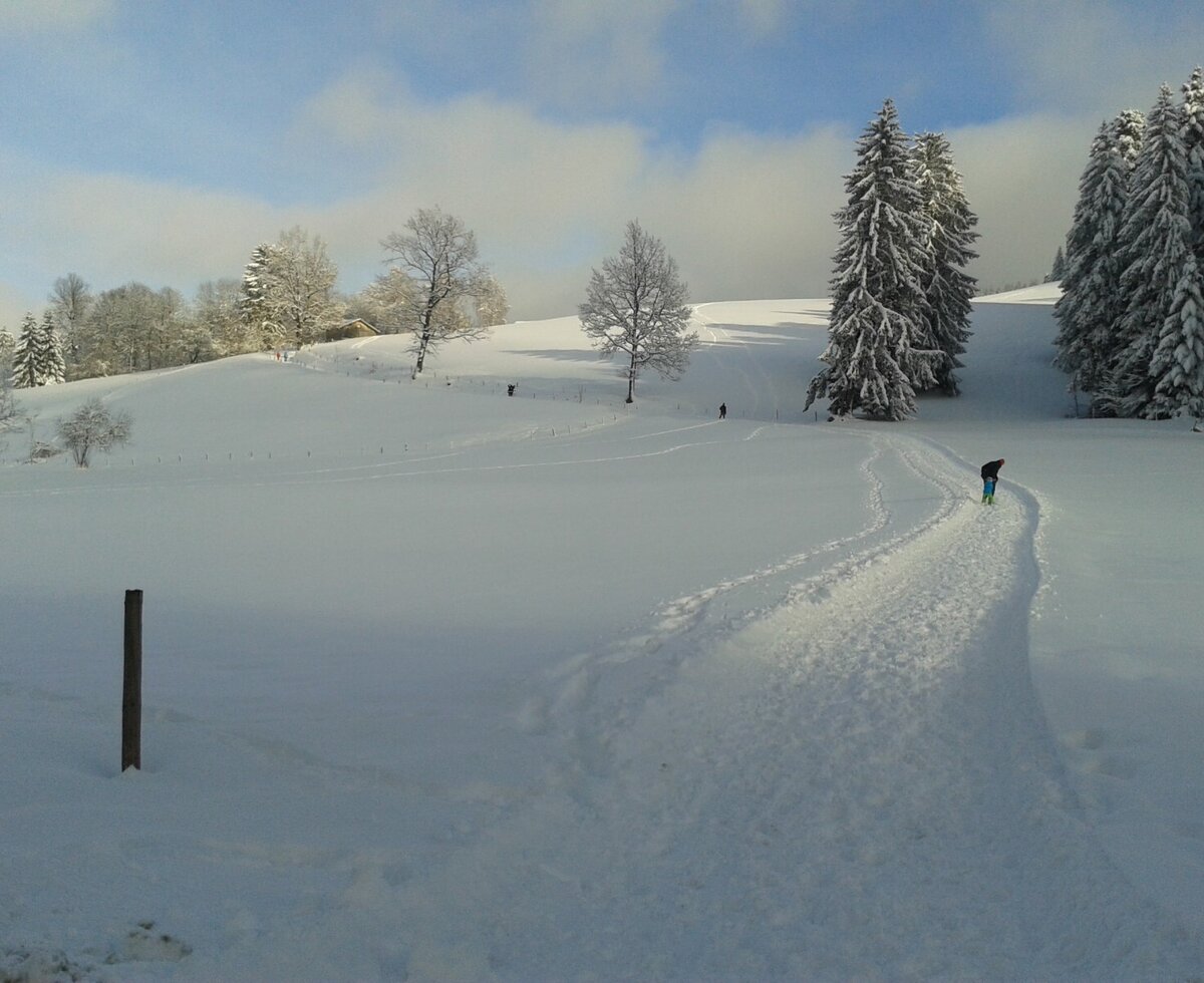 Winter hiking trails around the Sohlerhof.