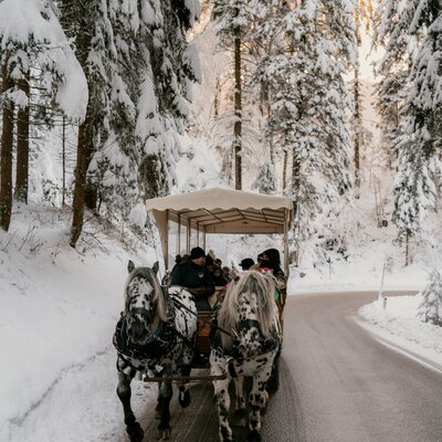 Carriage experience in winter - bookable with the Fetz family.