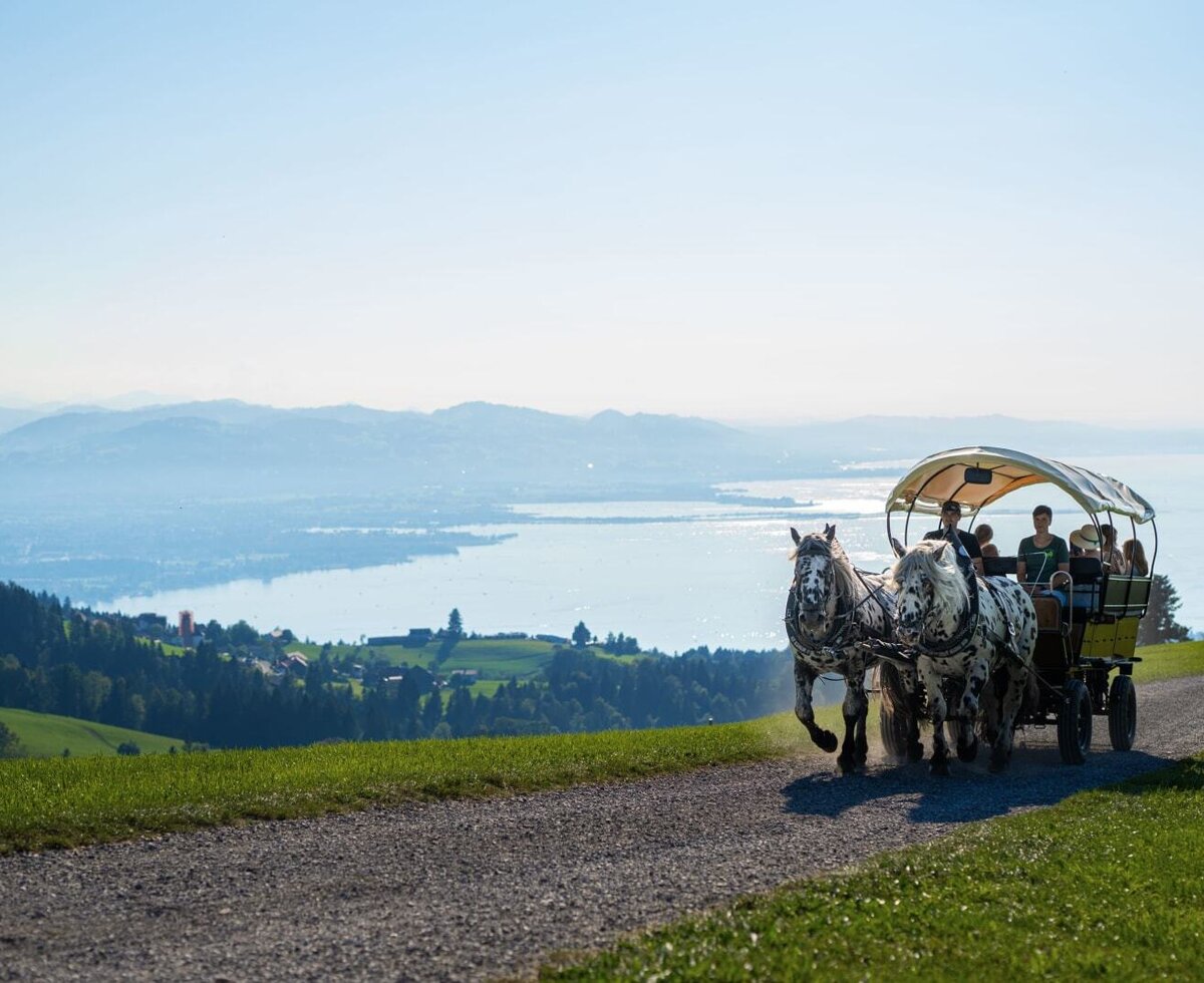 Carriage experience in summer - bookable with the Fetz family.