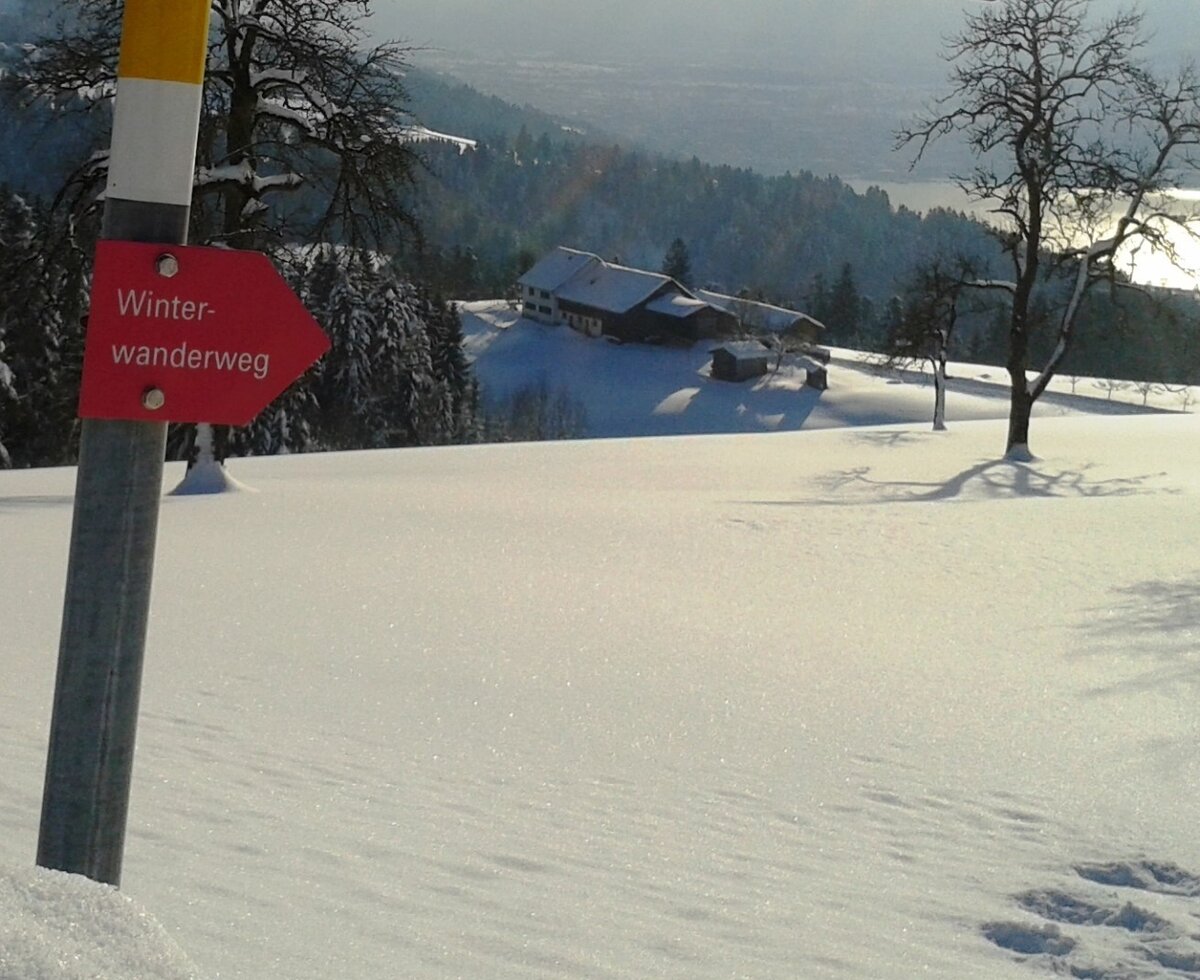 Winter hiking trails are prepared and start directly from the house.