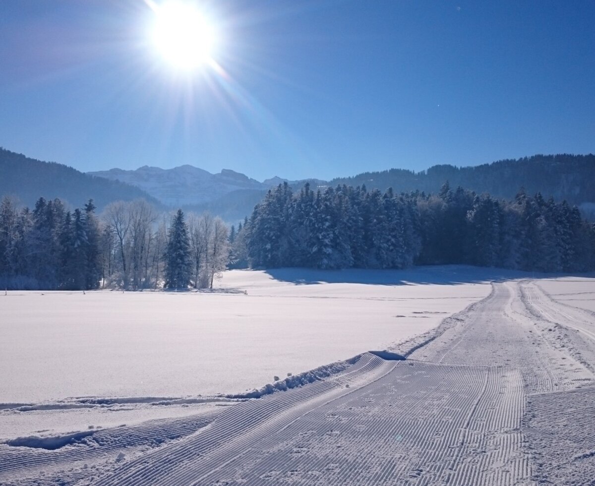 Cross-country ski tracks across a snow-covered field in the Bregenz Forest, with mountains and sun in the background.