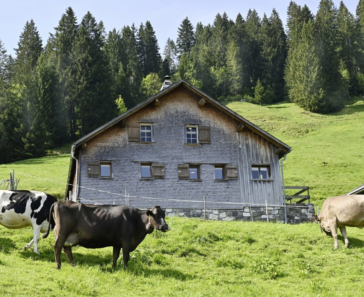 Alpine herdsmen's hut