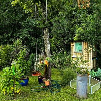 The farmhouse garden features swings hanging from a tree and lush plantings, offering outdoor space for guests.