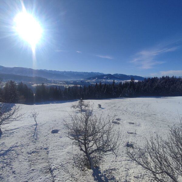Clear winter air and snow-covered mountains