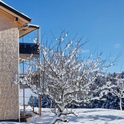 The Weitblickhof with wooden shingle facade in a snowy winter landscape.