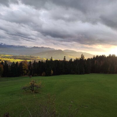 Panoramic view of the sun-drenched Bregenzerwald and its mountains.