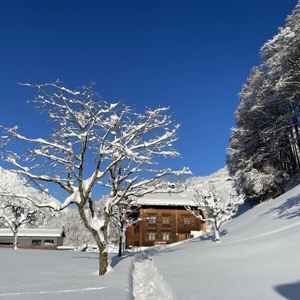 winter wonderland